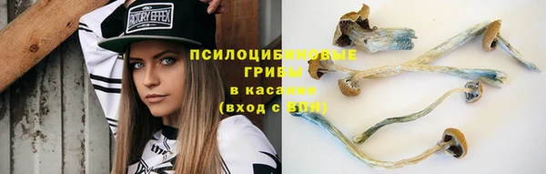 дмт Арсеньев