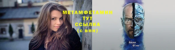 прущие грибы Армянск