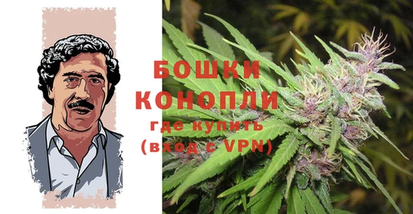 MESCALINE Аркадак