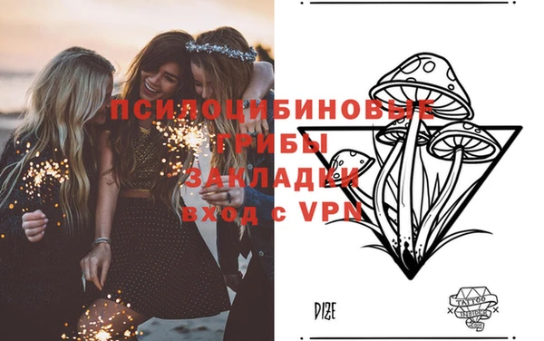дмт Арсеньев