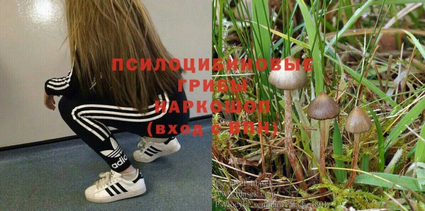 MESCALINE Аркадак